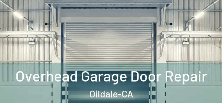 Overhead Garage Door Repair Oildale-CA